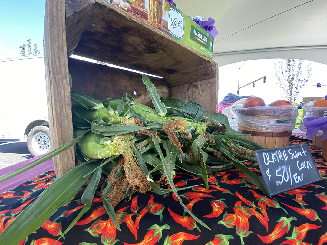 Olathe Sweet Corn Festival is moving to Montrose... again Montrose