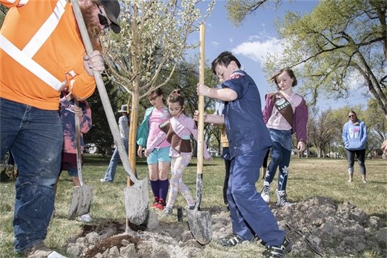 City to hold annual Arbor Day celebration - Montrose Business Times